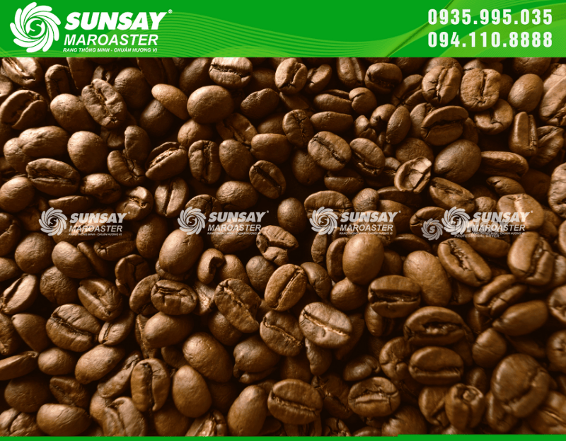 Máy rang cà phê 30kg phù hợp với mô hình kinh doanh nào?