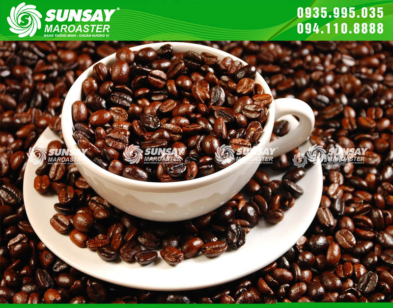 Hạt cà phê sau khi được rang, thành phẩm rất đẹp, chín đều, đạt tiêu chuẩn