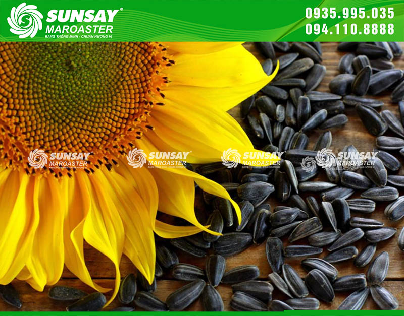 Kỹ thuật rang hạt đều màu giúp doanh nghiệp tạo ra những mẻ hạt vàng đẹp, thơm tự nhiên và mang lại giá trị thương phẩm cao hơn