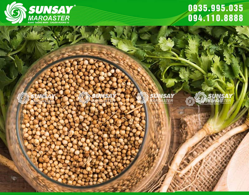 Hạt ngò rang bằng máy SUNSAY MAROASTER có màu đẹp, dùng làm nguyên liệu ướp thịt hay nấu phở rất ngon